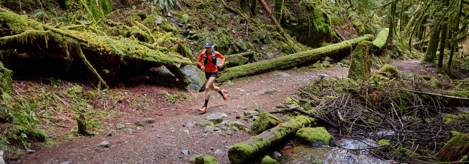 How to train your gut to improve your performance