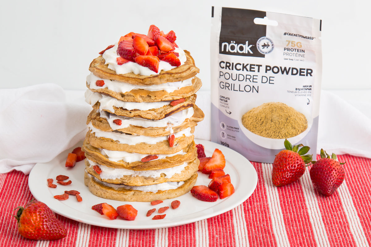 Recipe - Cricket Powder Pancakes