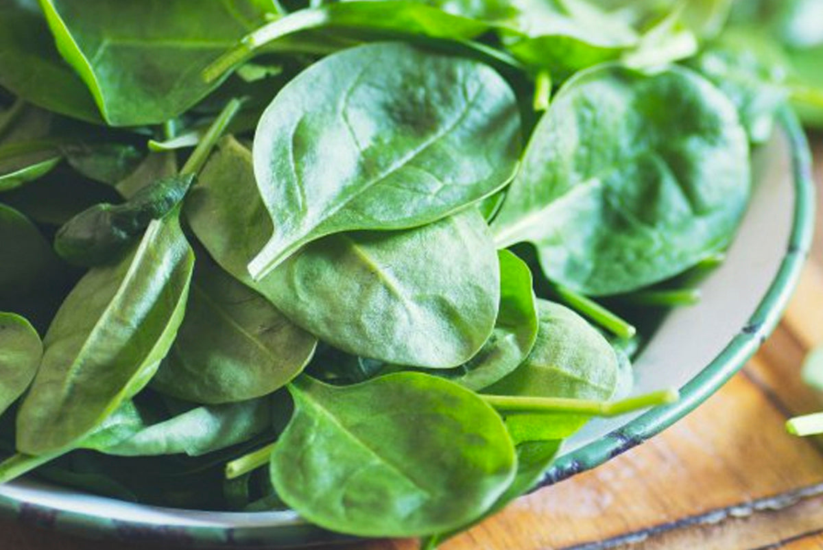 Nutrition ultra endurance athletes 