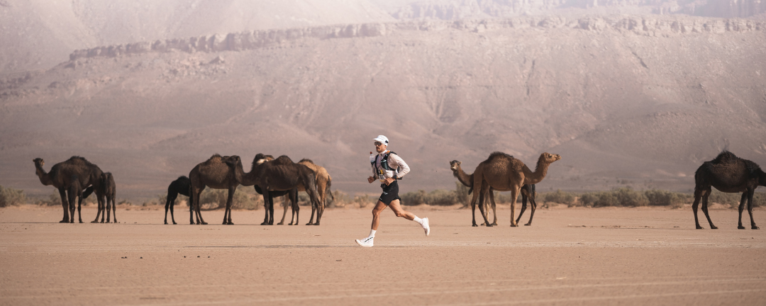 Best sellers Summer collection