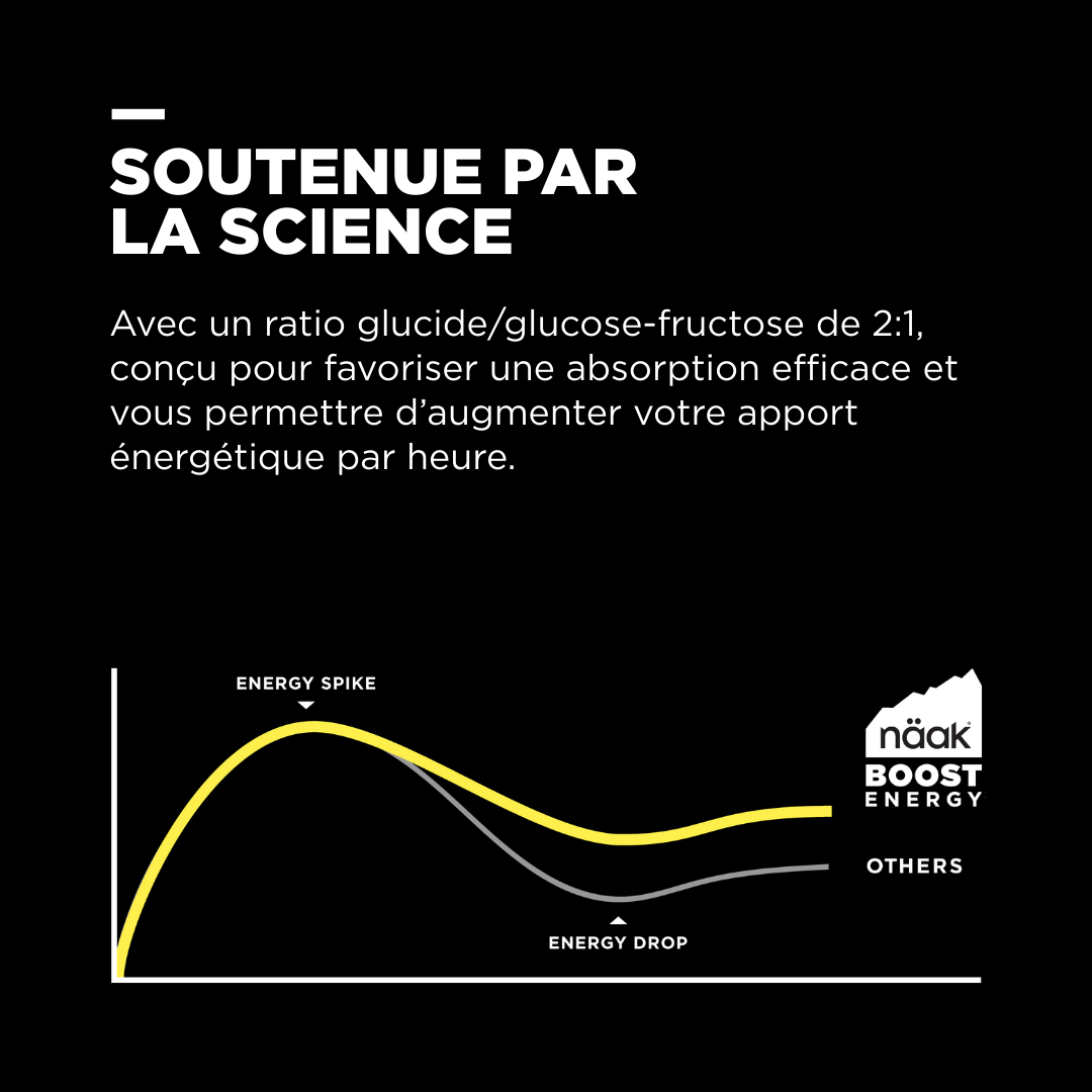 Boisson d'effort Boost™ 60 | Neutre - Sachet