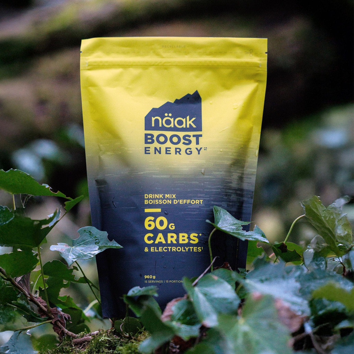 Näak | Gravel Pack